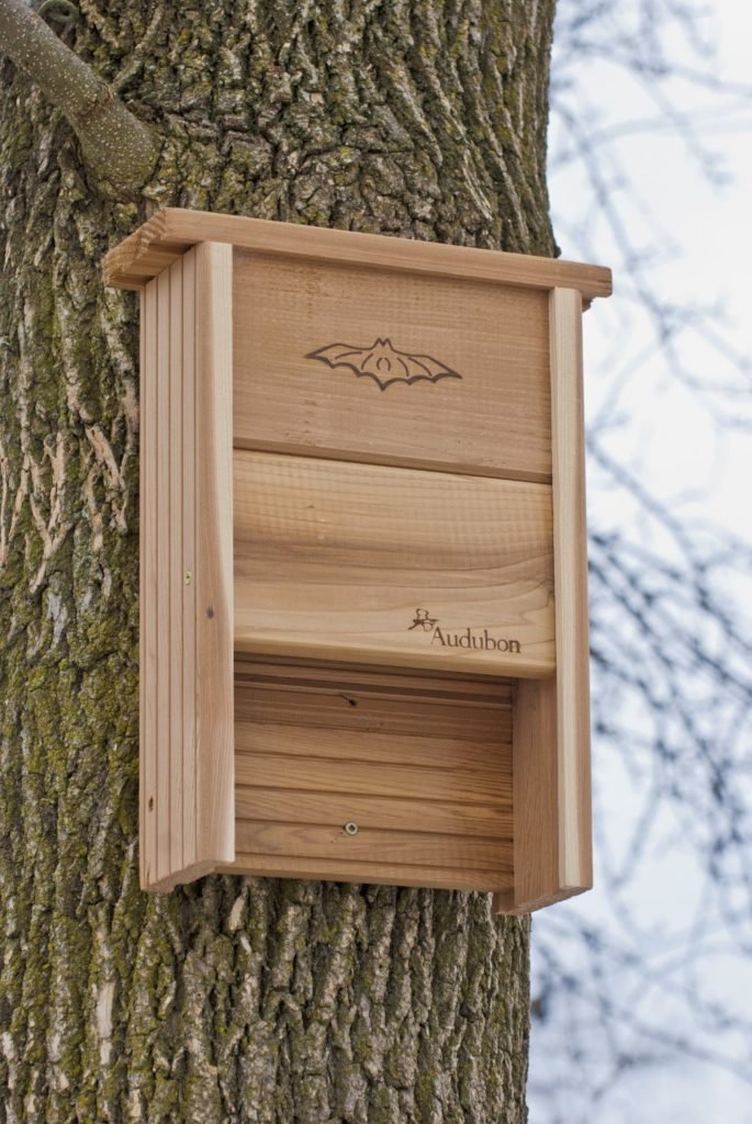 Audubon Bat Shelter Model NABAT 