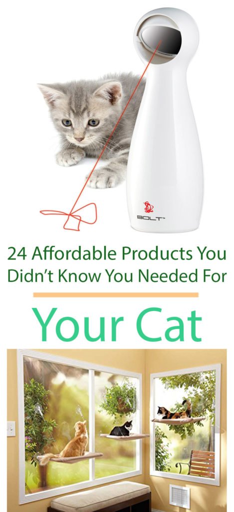 24 Affordable Products You Didn't Know You Needed For YOUR CAT! + Reviews