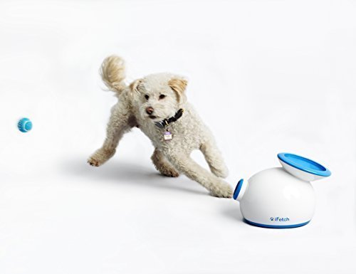 iFetch Interactive Ball Thrower for Dogs- Launches Mini Tennis Balls