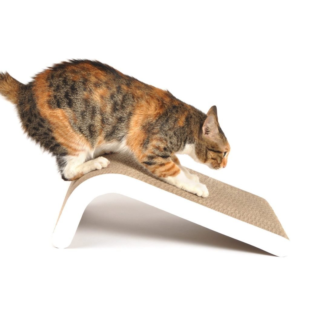 4CLAWS Incline Scratching Pad (White) - BASICS Collection Cat Scratcher