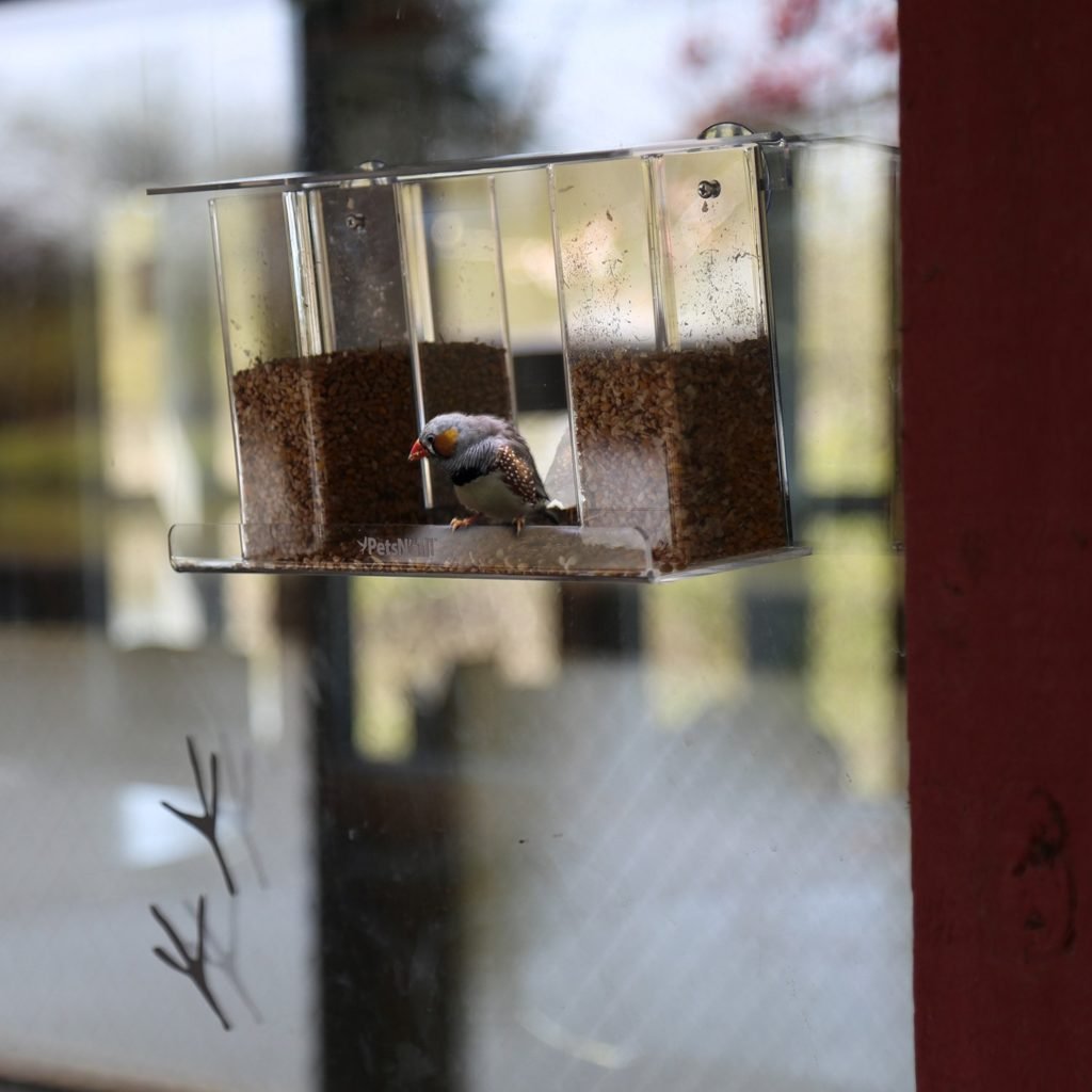 PetsN'all Dual-Column One-way Mirror Window Bird Feeder for Multiple Bird Species