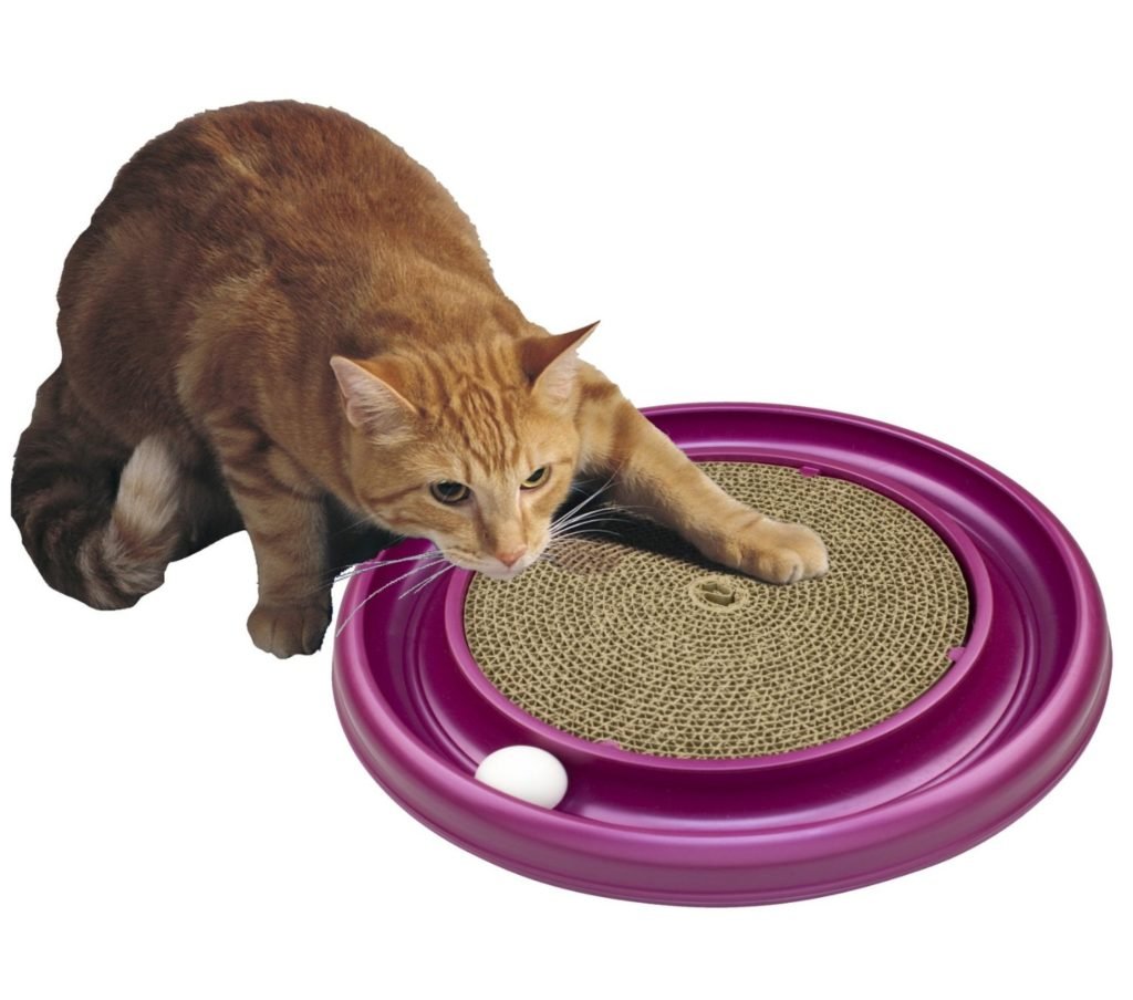 Bergan Turbo Scratcher Cat Toy