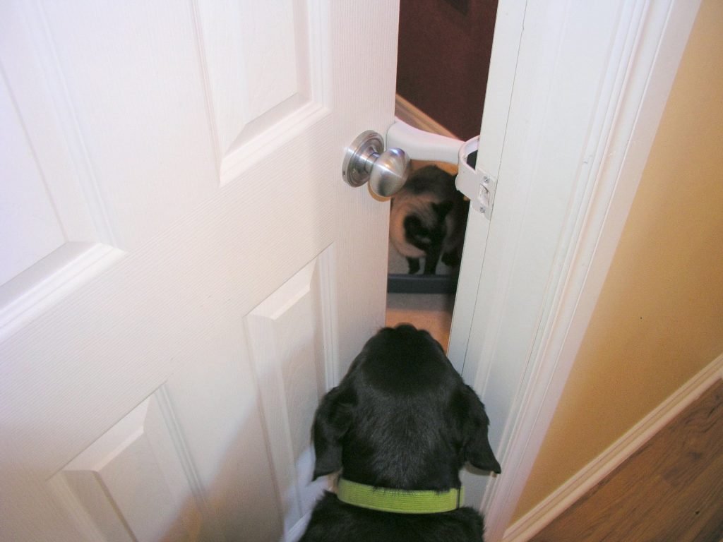 Pet Access Control Interior Door Prop