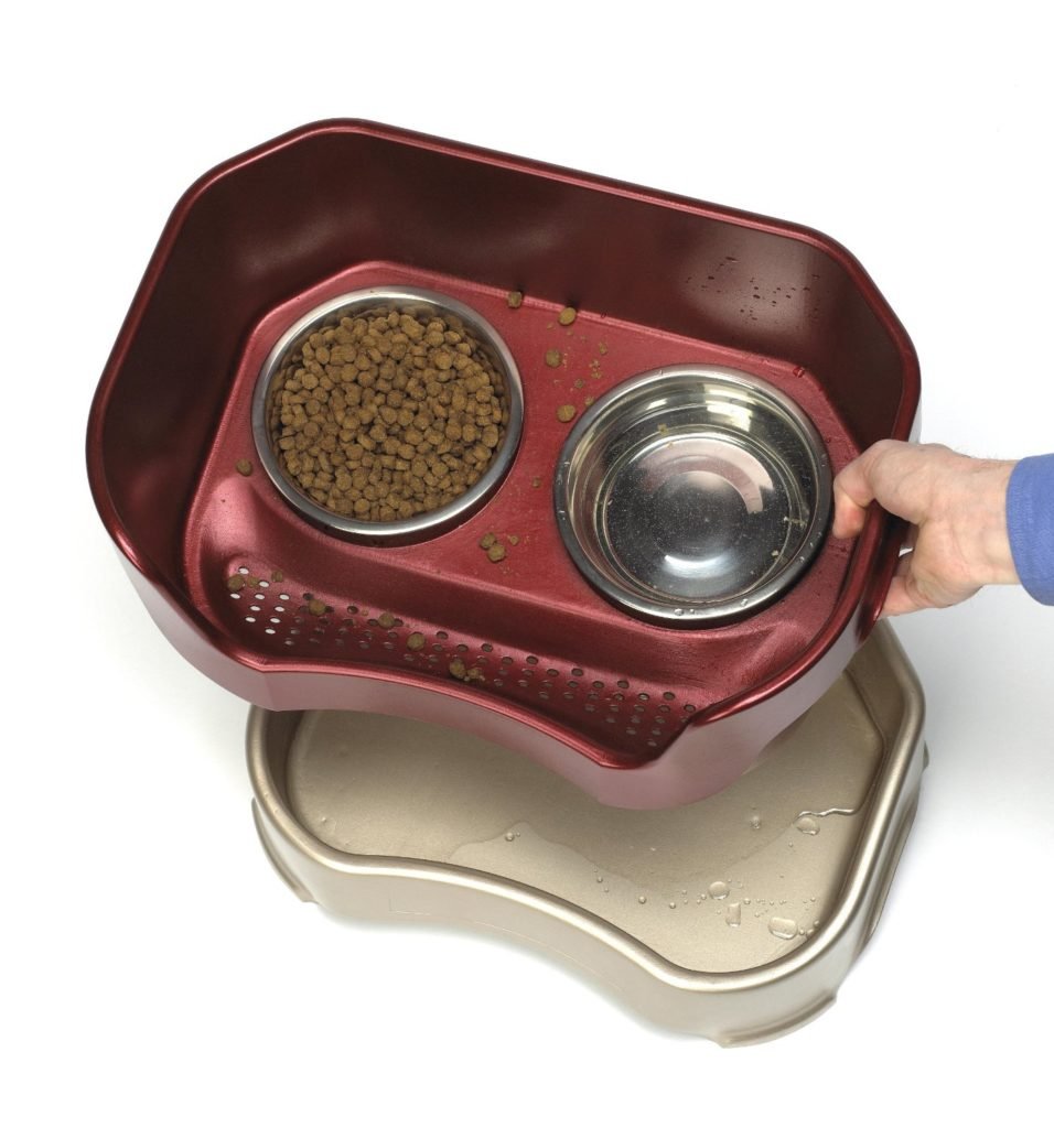 Neater Feeder Dog Bowl